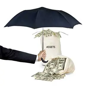 What Assets Are Protected in Bankruptcy?