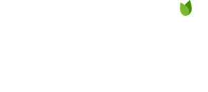 bad-credit-org-logo